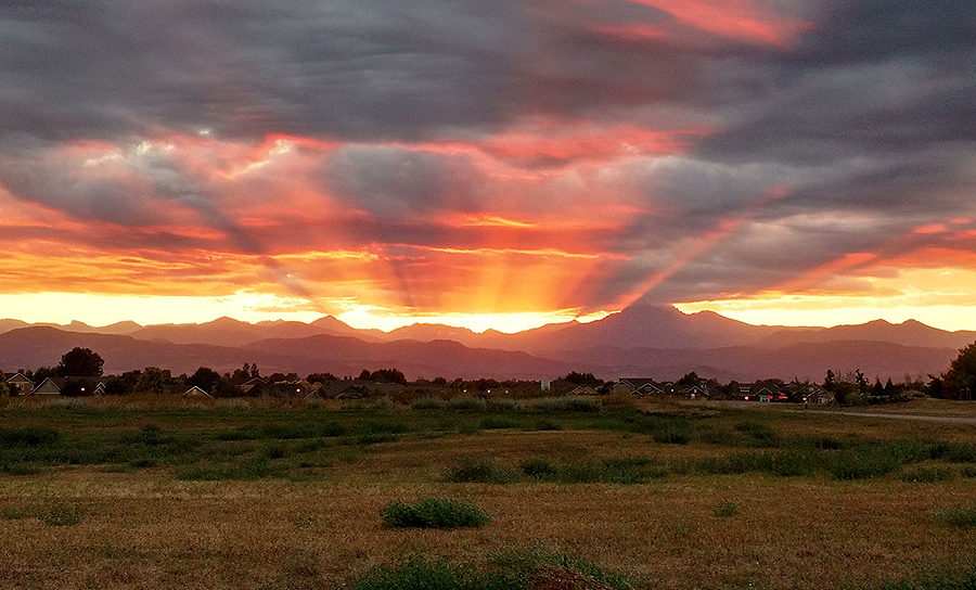 Longmont